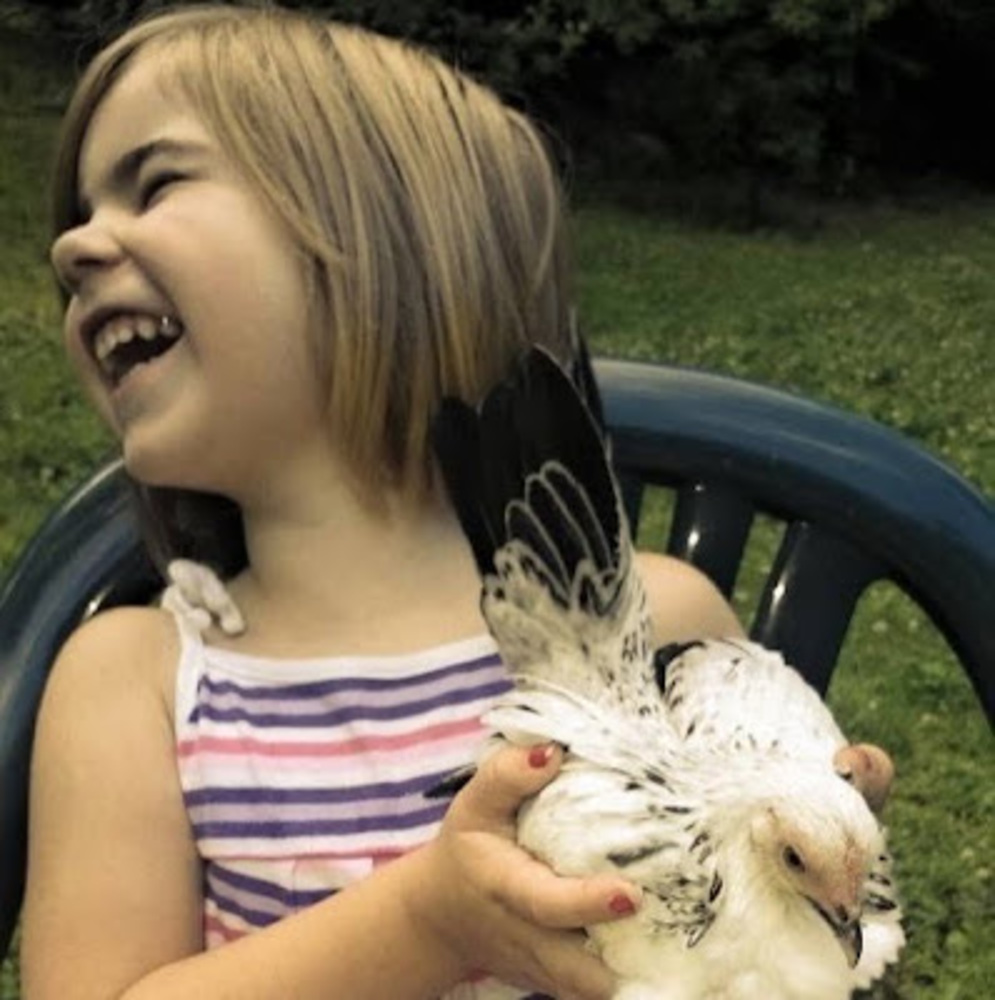 Meet your Posher, Chicken